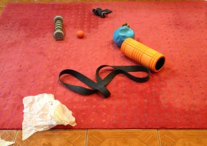 Typical view of living room floor (tissue paper is for the cats to play with).