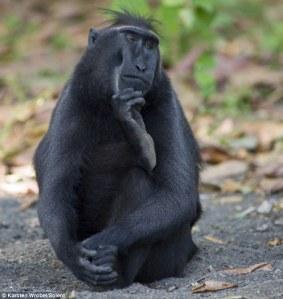 What should I call it?